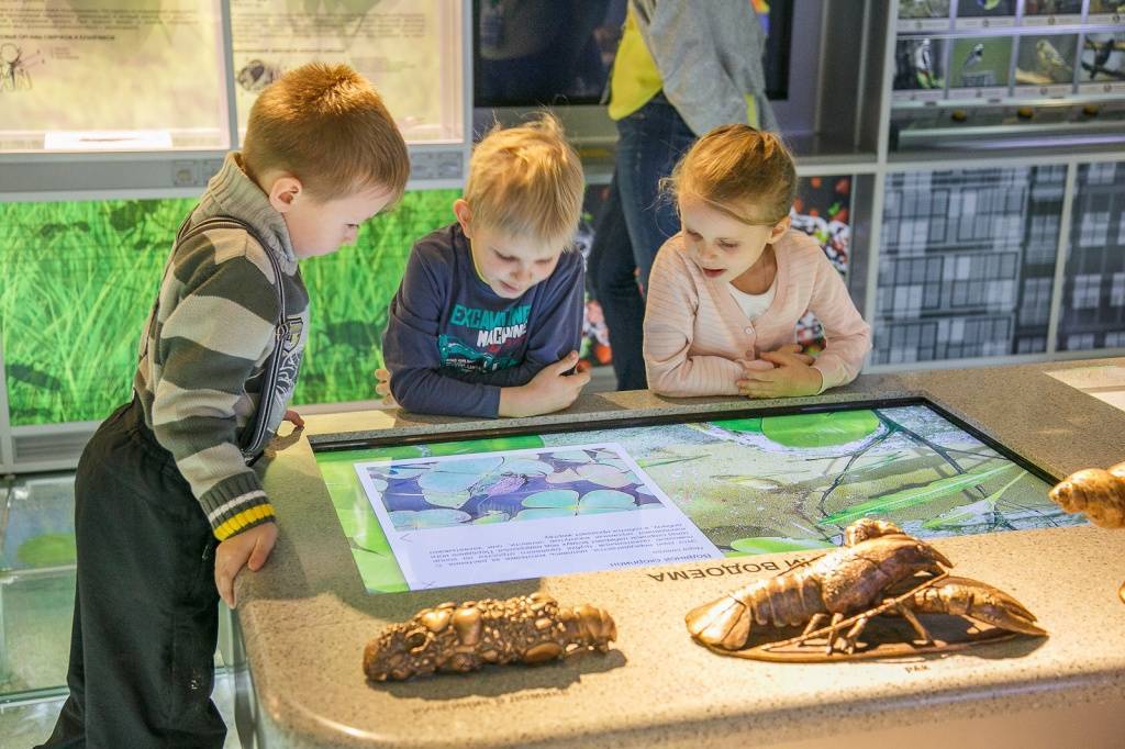 Три естественно-научных музея москвы, в которых нужно побывать с детьми
