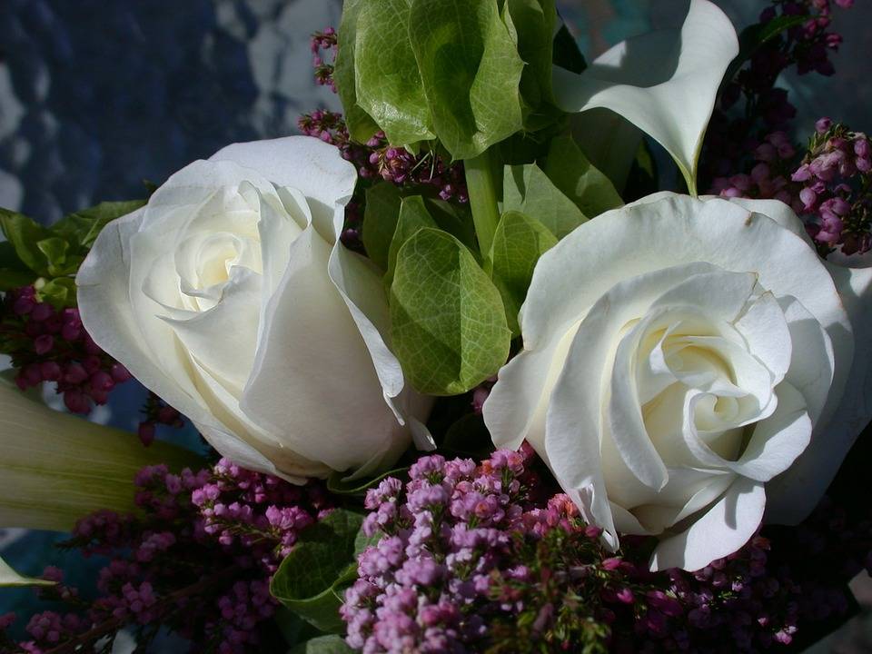 Что означает белая роза на языке цветов?