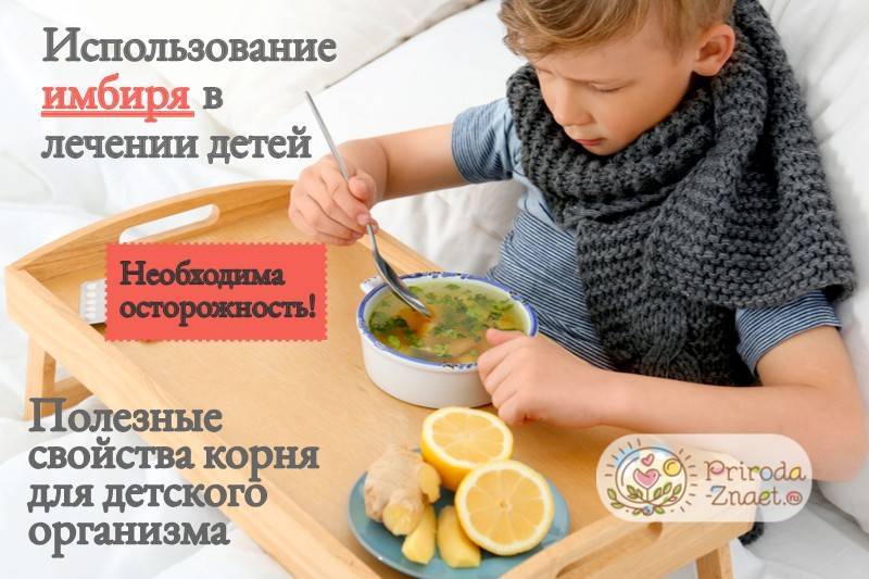 Как выбирать и хранить имбирь / советы для тех, кто любит острую приправу – статья из рубрики "как хранить" на food.ru
