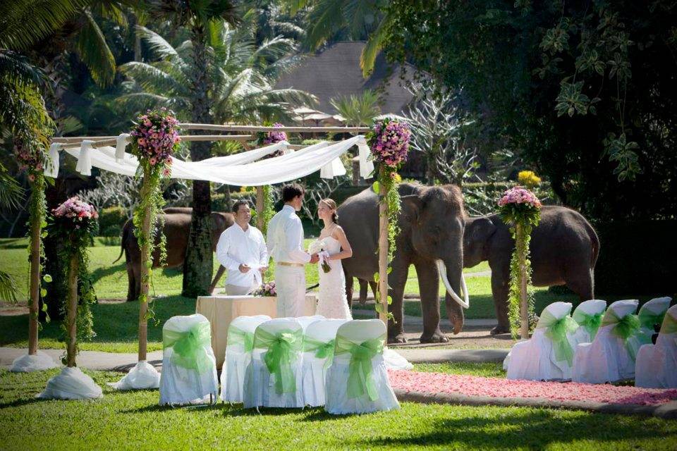 Преимущества проведения свадьбы на острове бали - 5 причин